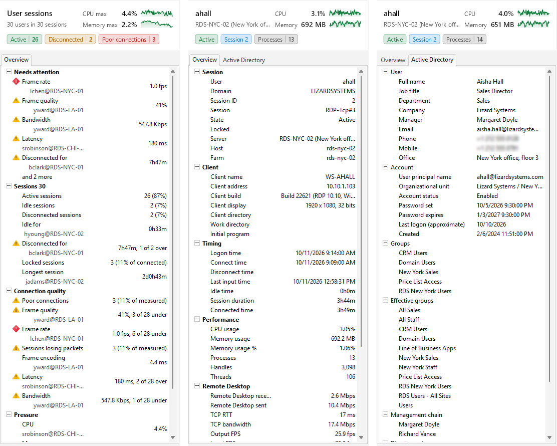 The inspector for user sessions: the whole Users list, the Overview of one session, and its Active Directory tab